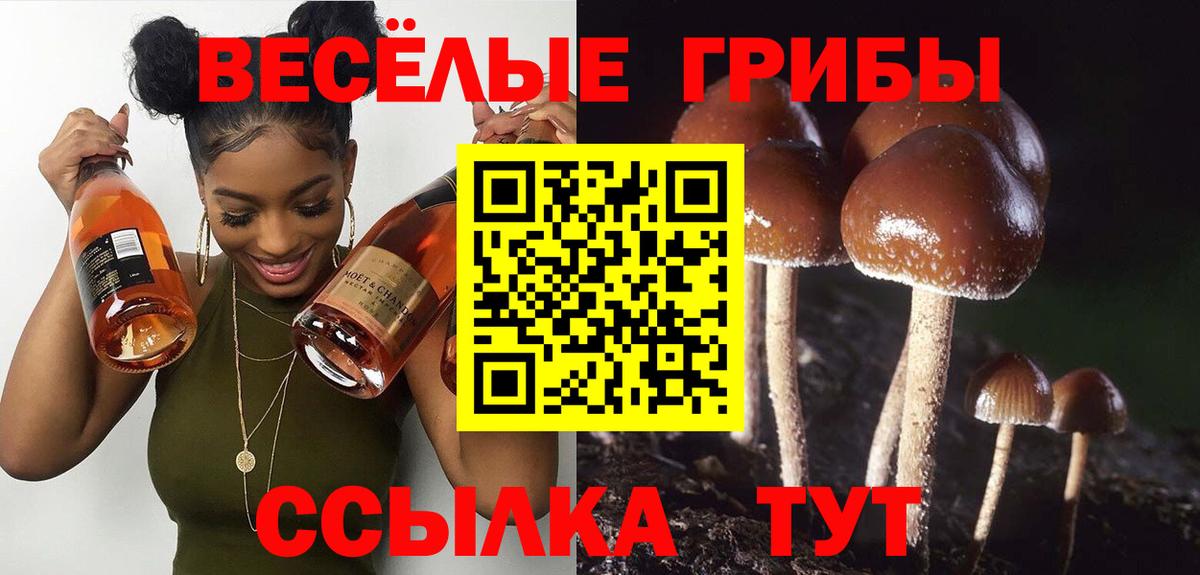 Псилоцибиновые грибы MAGIC MUSHROOMS  Вход с VPN  Электросталь 