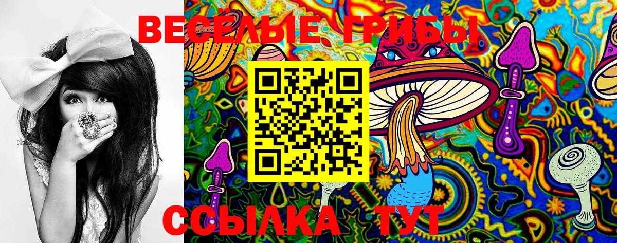 Псилоцибиновые грибы прущие грибы Электросталь